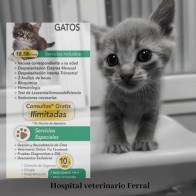 Planes de salud a tu medida