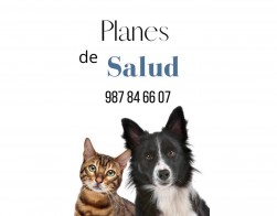 Planes de salud a tu medida