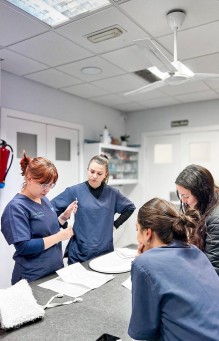 Medicina interna