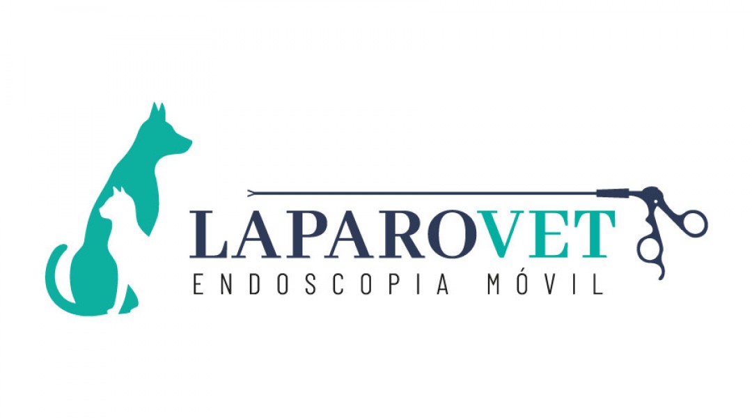 Laparovet