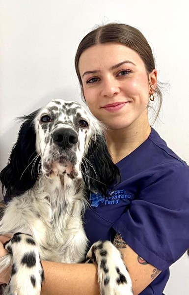 Veterinaria